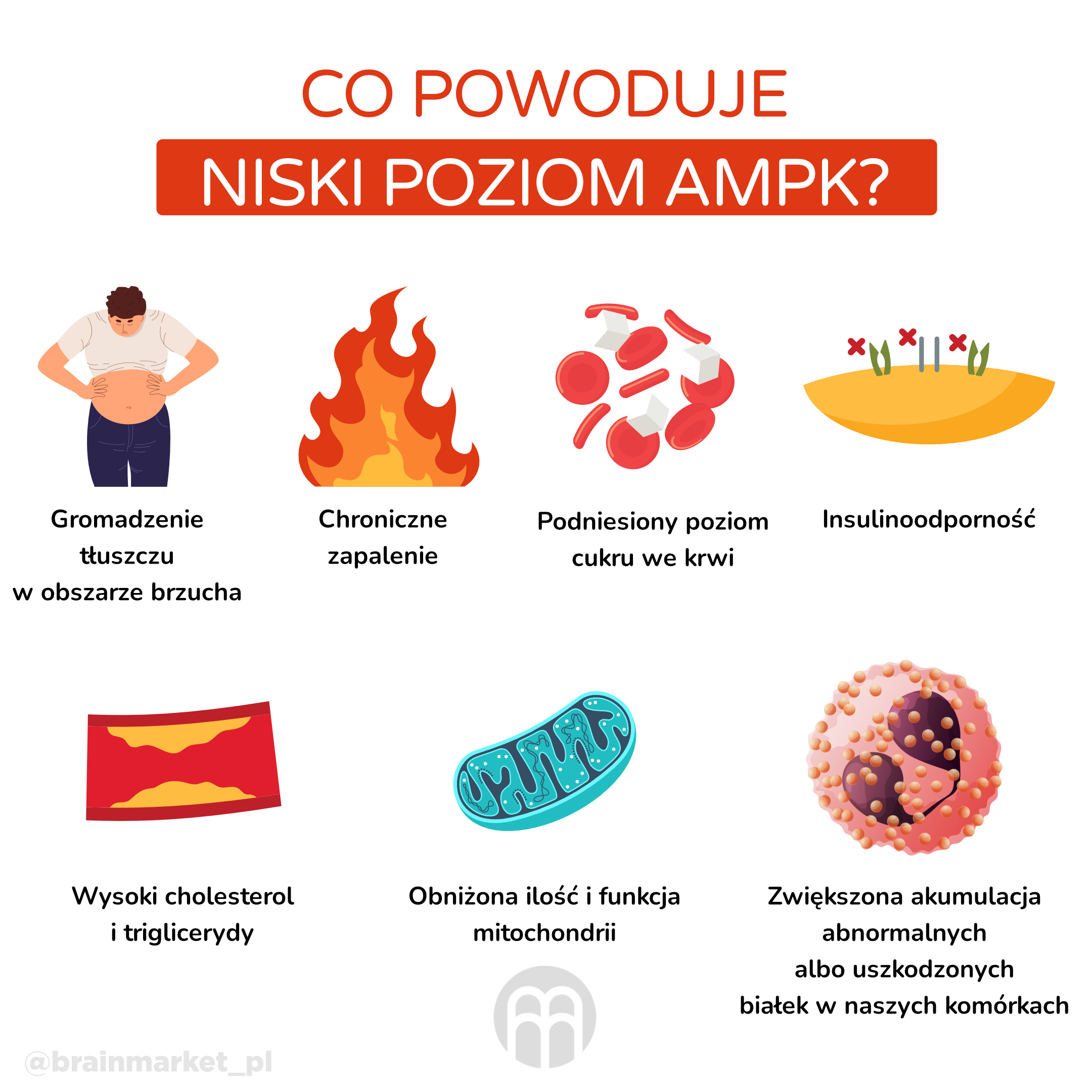 co zpusobuje nizka hladina AMPK_infografika_pl